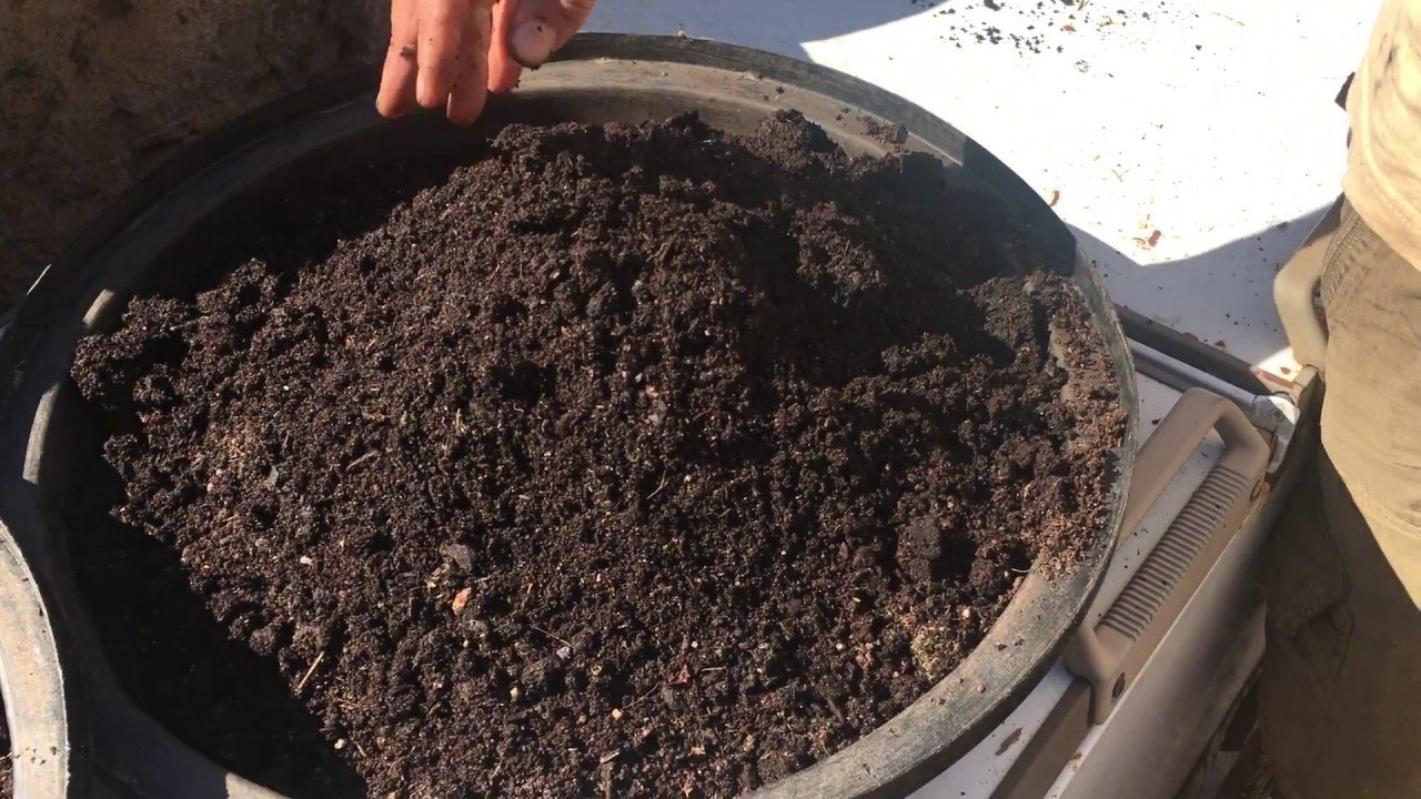 Cómo Hacer Humus de Lombriz