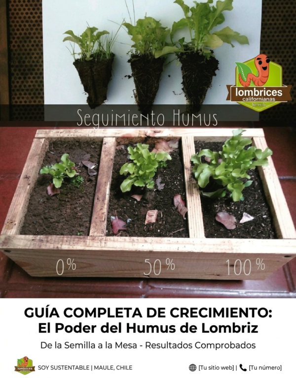 Manual Lombricultura PDF