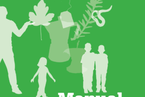 Manual de Vermicompostaje