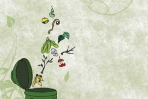 manual basico compostaje